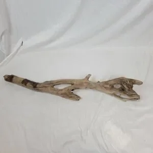 Ohio River Driftwood 44.5"x10"x8"