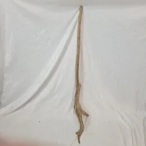 Ohio River Driftwood 51"x14"x7"