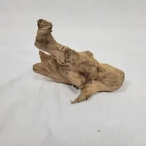 Ohio River Driftwood 8"x8"x5"