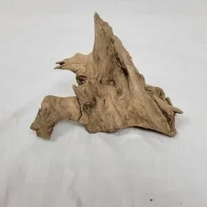 Ohio River Driftwood 8"x8"x5"