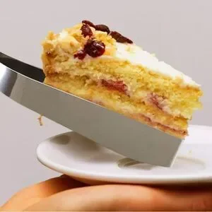 Orblue Professional Cake And Pie Stainless Steel Server