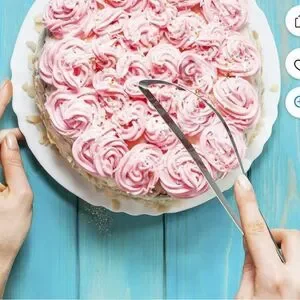 Orblue Professional Cake and Pie Stainless Steel Server