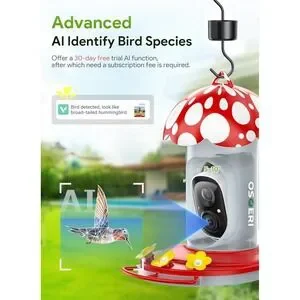 Osoeri Hummingbird Feeder With Camera OS-BC03 2K HD AI Identify Solar Bird Feed