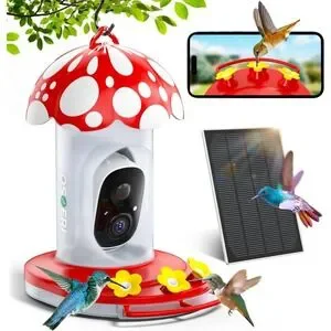 Osoeri Hummingbird Feeder with Camera OS-BC03 2K HD AI Identify Solar Bird Feed