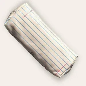 Padded Water Resistant Pencil Pouch Lot Of 2 Pencil Cases