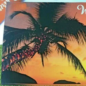Palm Tree Christmas Cards Holiday Lights Set Of 2 New With Envelopes USA…