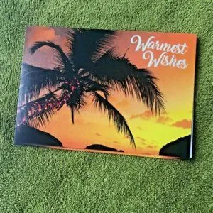 Palm Tree Christmas Cards Holiday lights Set of 2 New with Envelopes USA…