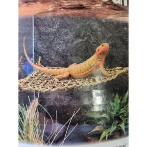 PENN-PLAX Reptology Lizard Lounger Hammock Corner Triangle – Seagrass Fiber