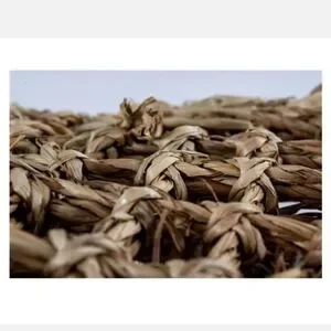 PENN-PLAX Reptology Lizard Loungers - 100% Natural Seagrass Fiber