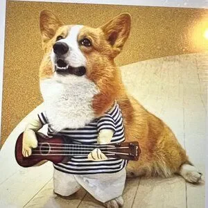 Pet Costume Band Guitar Player Halloween Costume Dog Cat Outfit Size M