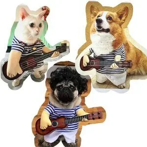 Pet Costume Band Guitar Player Halloween Costume Dog Cat Outfit Size M