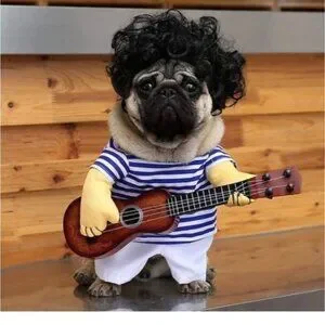 Pet Costume Band Guitar Player Halloween Costume Dog Cat outfit Size M