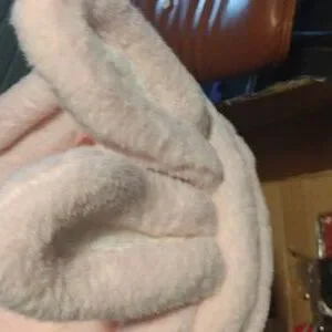 Pink Bunny Cat Desk Bed