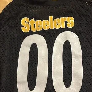 Pittsburgh Steeler Dog Jersey