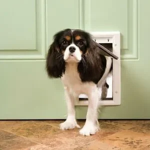 Plastic Pet Door Guardian by PetSafe Small Dog or Cat 1-15 lbs NIB GPA00-13598