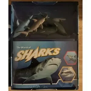 Pocket Explores Set‎ Of 4 Book Dinosaurs Wild Cat Sharks And Reptiles 2021