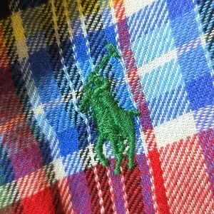 Polo Ralph Lauren Unisex Plaid Cotton Scarf Fringe Multicolor Preppy Academia