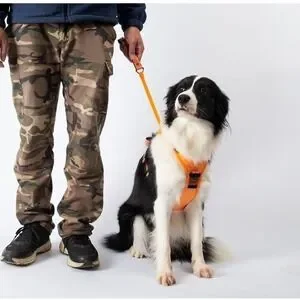 Poochbark 3 In 1 Dog Harness With Built-in Leash M Retractable Leash Auto-Lock