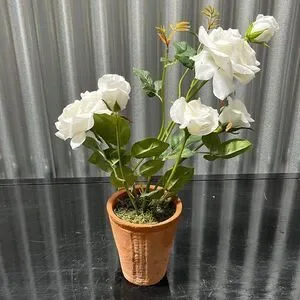 Pottery barn 18 inch white rose tree