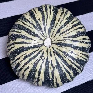Pottery Barn Striped Green Faux Pumpkin