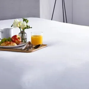 Premium Mattress Protection Size Queen
