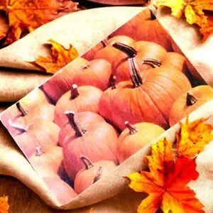 PUMPKIN Portrait Decorative FALL AUTUMN Floor / Doormat  18 x 30