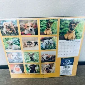 Puppies Dog Wall Calendar 2-pk Set