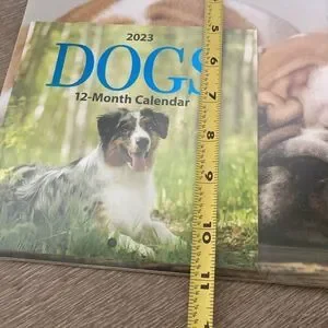 Puppies Dog Wall Calendar 2-pk Set