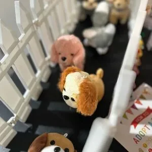 Puppy Adoption Party Kit For 6 Kids