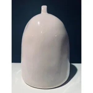 Rae Dunn “Dome Sweet Dome” Birdhouse – Blush Pink Ceramic Farmhouse Collectible