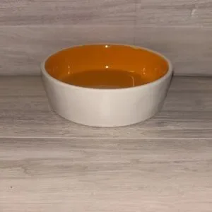 Rae Dunn Halloween Happy Meowoween Pet Dish