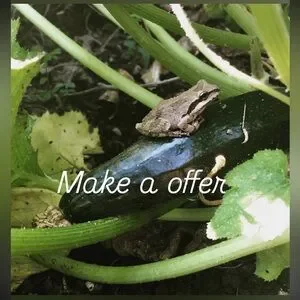 Reptile Habitat Decor - Natural Brown And Green