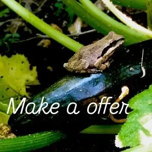 Reptile Habitat Decor - Natural Brown and Green