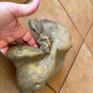Reptile Medium Cave