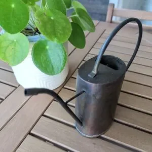 Rustic Metal Watering Can – VINTAGE Farmhouse Decor Cottagecore Home Accent