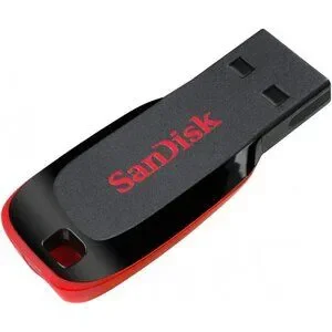 SanDisk 32 GB USB 2.0 Cruzer Blade Flash Drive (32GB)