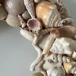 Seashell Holiday Wreath - Cream And Tan