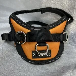 SHAWN Co Essential Dog Harness No-Pull W 3 Leash Clips Reflective No Choke XS