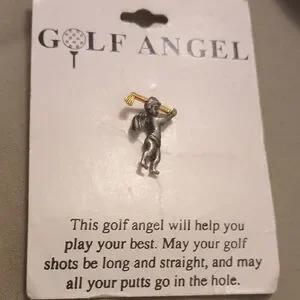Silver and Gold Pin