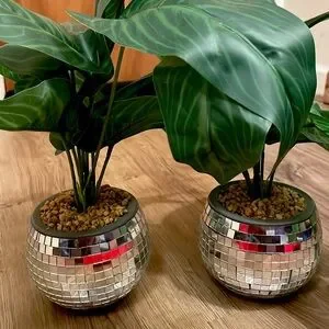 Silver Mosaic Planter With Green Foliage