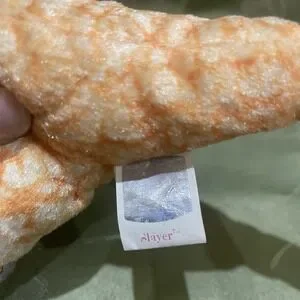 Slayer Frilled Lizard Ty Beanie Baby 2000 Orange Bean Bag Plush With Tag