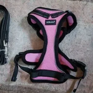 Small Cat Harness With Matching Leash NWOT