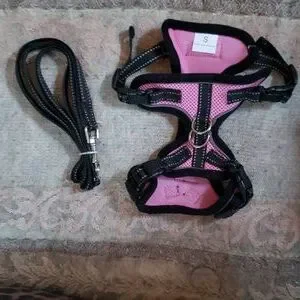 Small cat harness with matching leash NWOT