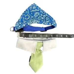 Small Dog/cat Collars