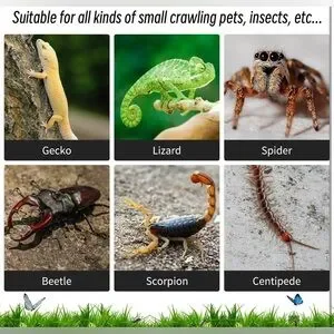 Small Insect Clear Viewing Degree Jumping Spider Enclosure