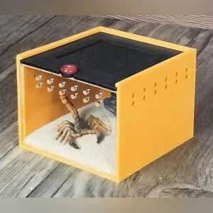 Small Insect Clear Viewing Degree Jumping Spider Enclosure