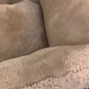 SMALL PET BED • 19” X 17”
