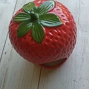 Small Pet Strawberry Hideout Hamster Guinea Pig