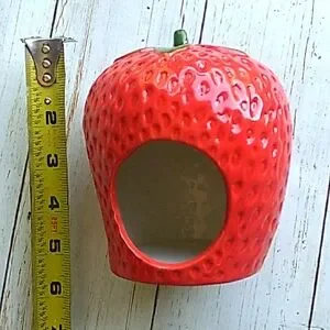 Small Pet Strawberry Hideout Hamster Guinea Pig