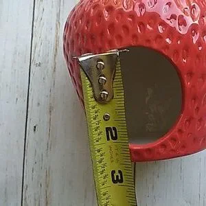 Small Pet Strawberry Hideout Hamster Guinea Pig